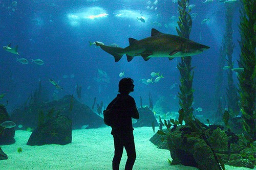 Oceanario